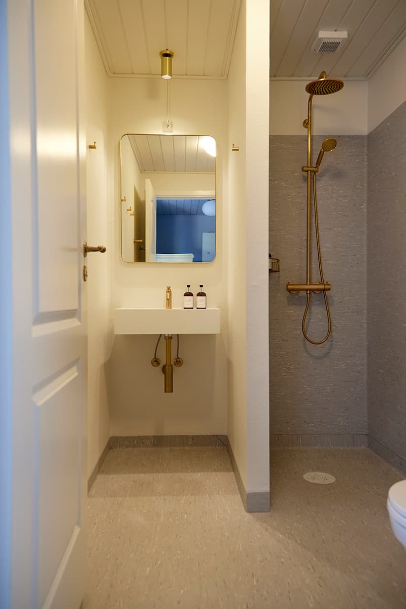 Badeværelse til overnatning Bornholm med toilet bruser og håndvask i hvidt gråt og messing